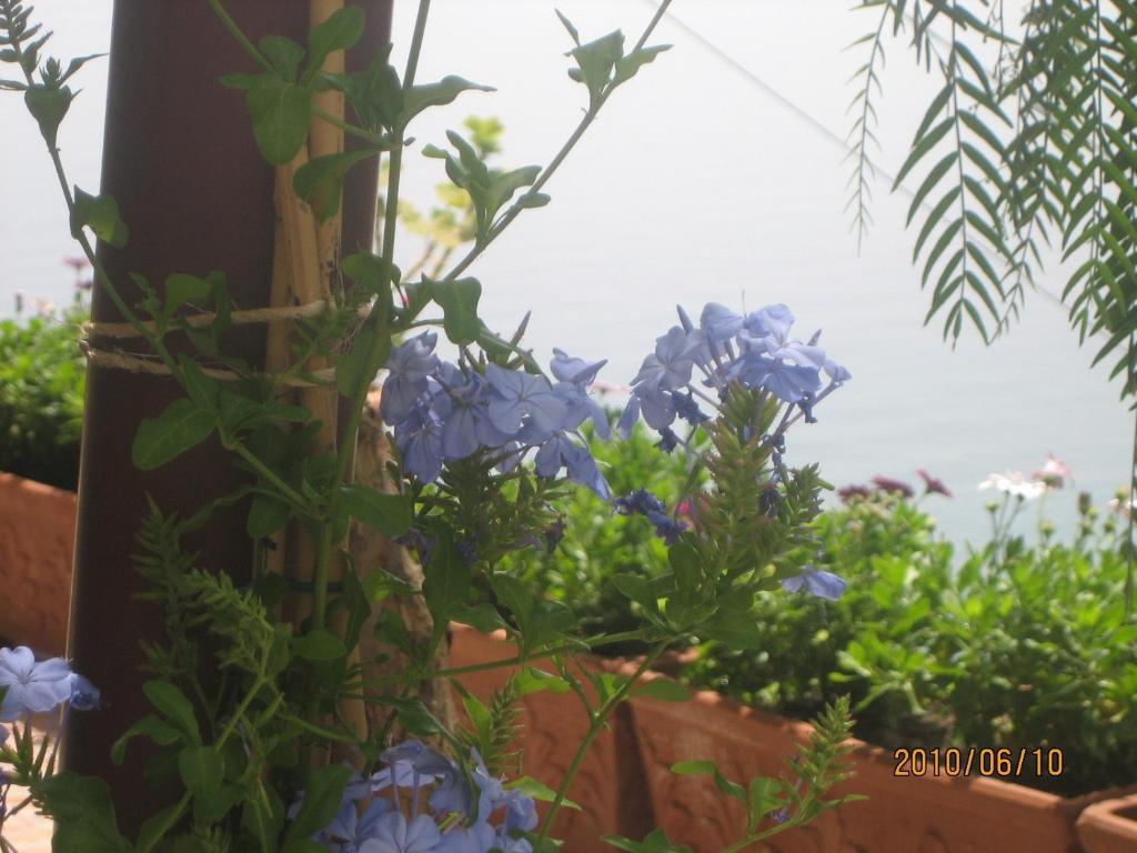 Villa Marietta Minori Exteriör bild