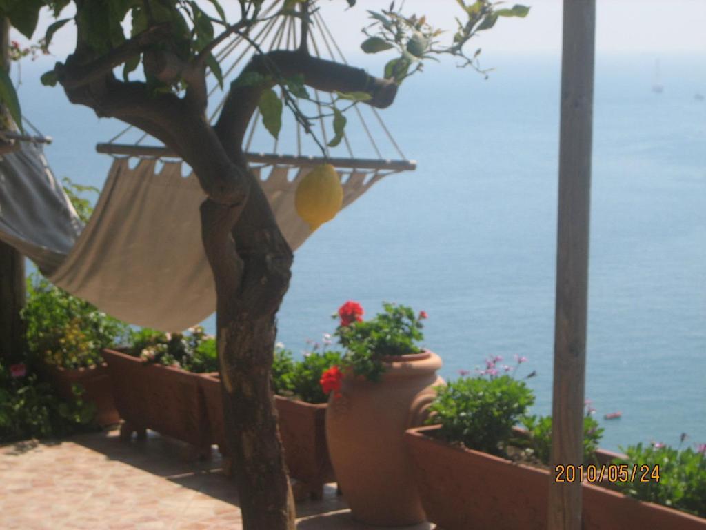 Villa Marietta Minori Exteriör bild